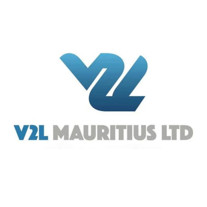 V2L