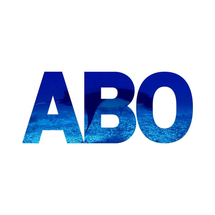 Agence Blue Ocean