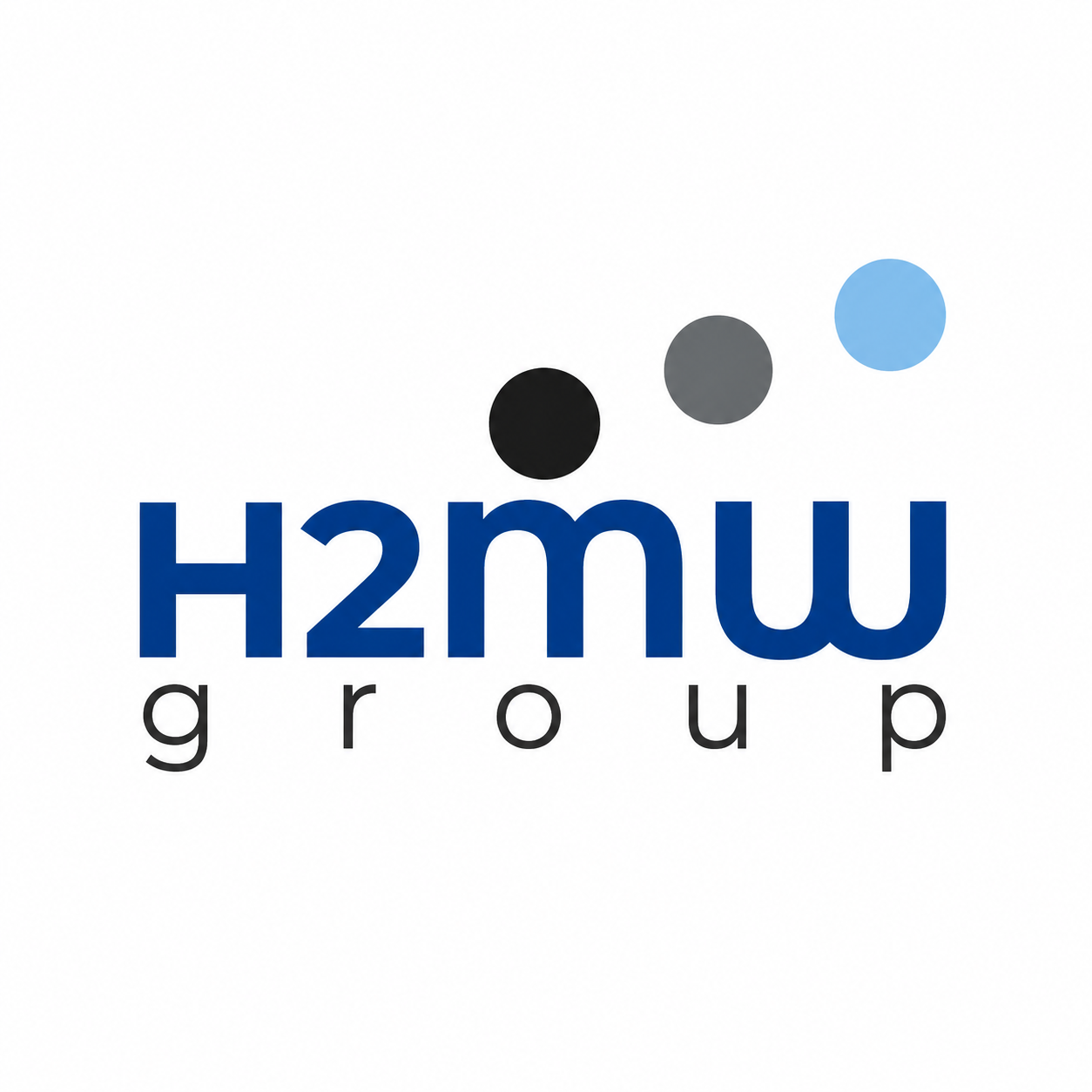 H2MW Groupe